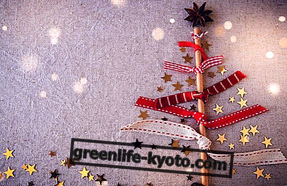 Ekologické vianočné stromčeky