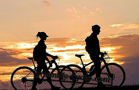 Бициклистичке стазе: 10 стаза за бициклизам без журбе у Европи