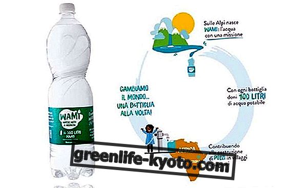 Wami: Die Flasche, um Trinkwasser zu geben
