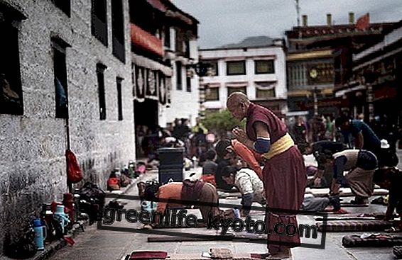 5人のチベット人の謎と恩恵