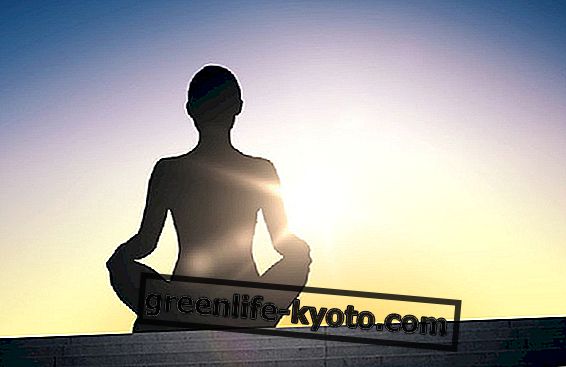 De opening van de chakra's in integrale yoga