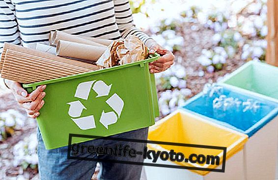 Камикацу, японският град "нулеви отпадъци"