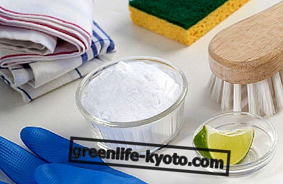 Bicarbonato de sodio para la higiene del hogar.