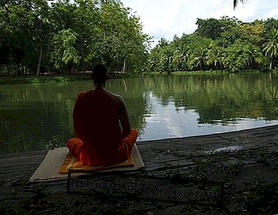 Hemmeligheder og dynamik i mantraer og meditation