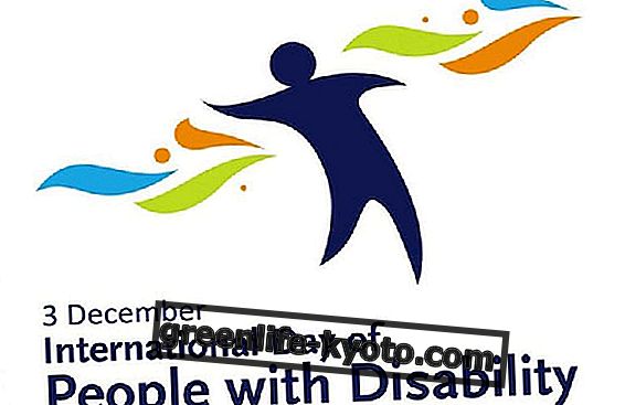 International day of disabled people: a reflection