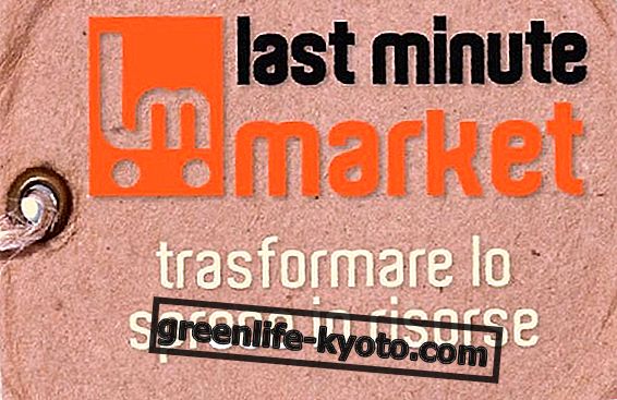 Last Minute Market na zníženie odpadu