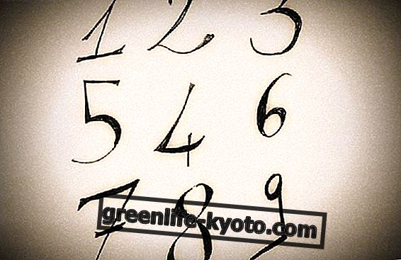 Pitagora in onomantična numerologija.  Intervju z Angelo Rech