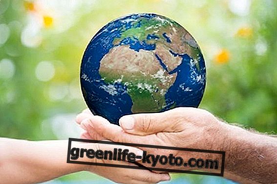 5. junij je svetovni dan okolja