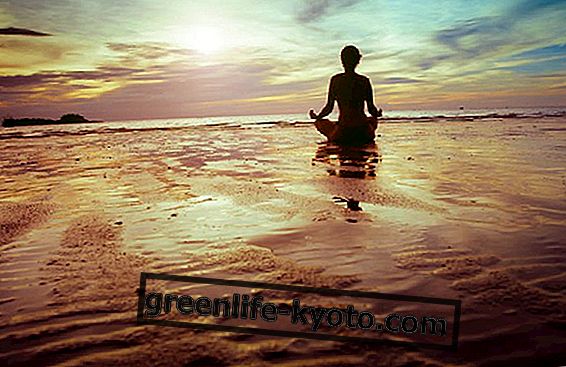 Yoga positioner ved havet