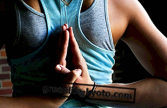 Zostań nauczycielem jogi: linia, pasja, trening i praktyka