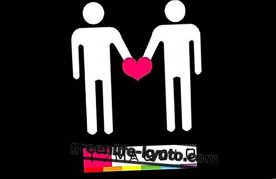 Gegužės 17 d., Tarptautinė diena prieš homofobiją