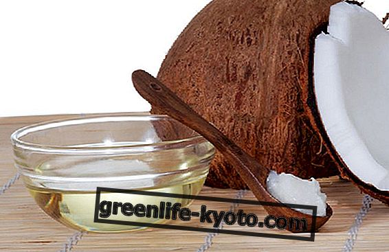 Kokosolie til hår: 2 kosmetiske opskrifter