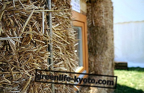 Rumah thatched: cekap, mesra alam, sihat