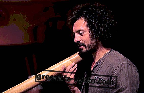 Los secretos del didgeridoo.