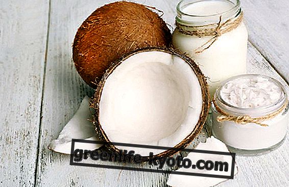 Kosmetische Verwendung von Kokosmilch