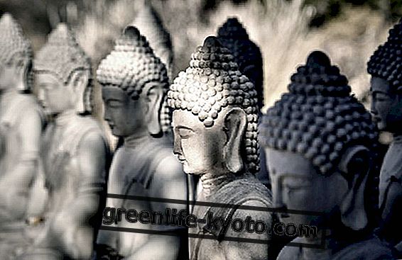 Apa itu Buddhisme Shambhala?