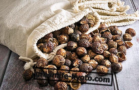 Miten tehdä pyykkiä kuivatuilla pähkinöillä