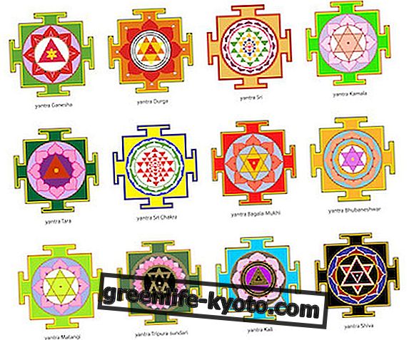 Göttliche Geometrien: das Yantra
