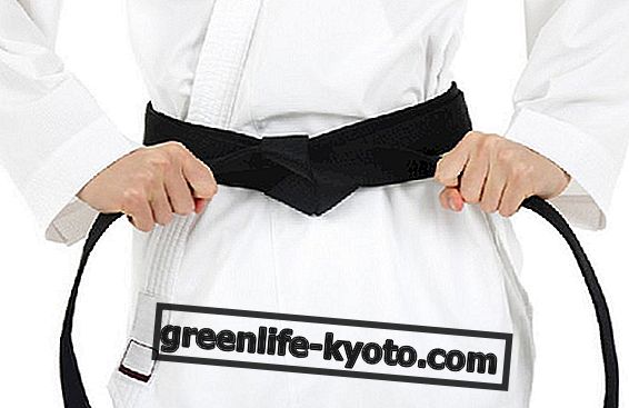 Cinturones de jiu jitsu brasileños