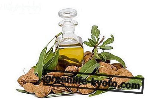 Cosmetic properties of sweet almond oil