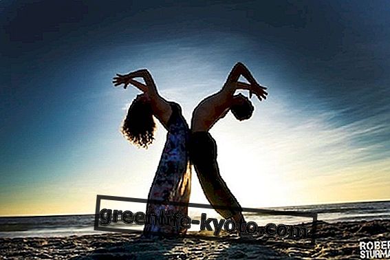 Den stora skönheten av yoga enligt fotografen Robert Sturman