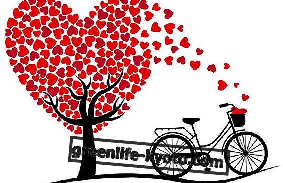 14 février: pass de la Saint-Valentin 2017 à vélo!