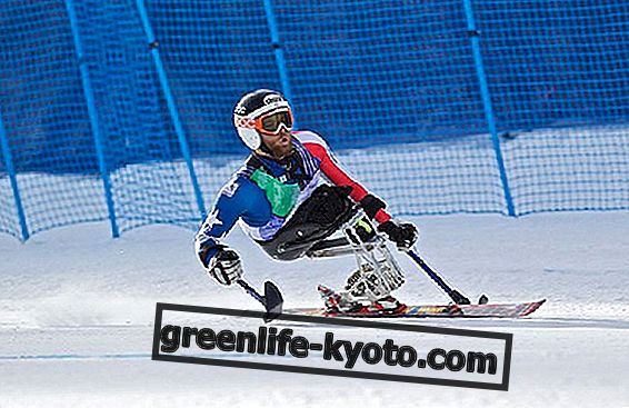 Ski dan orang kurang upaya: cerita cinta panjang
