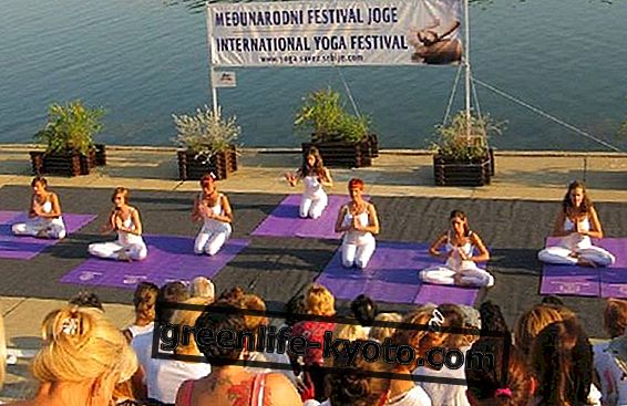 En titt på International Yoga festival
