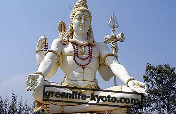 Symbolen van de god Shiva