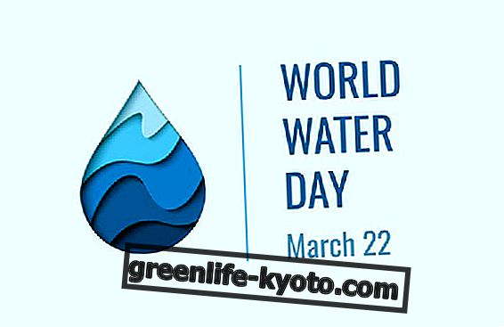 22. marts World Water Day
